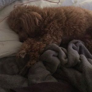 Meet your Posher, Kelly